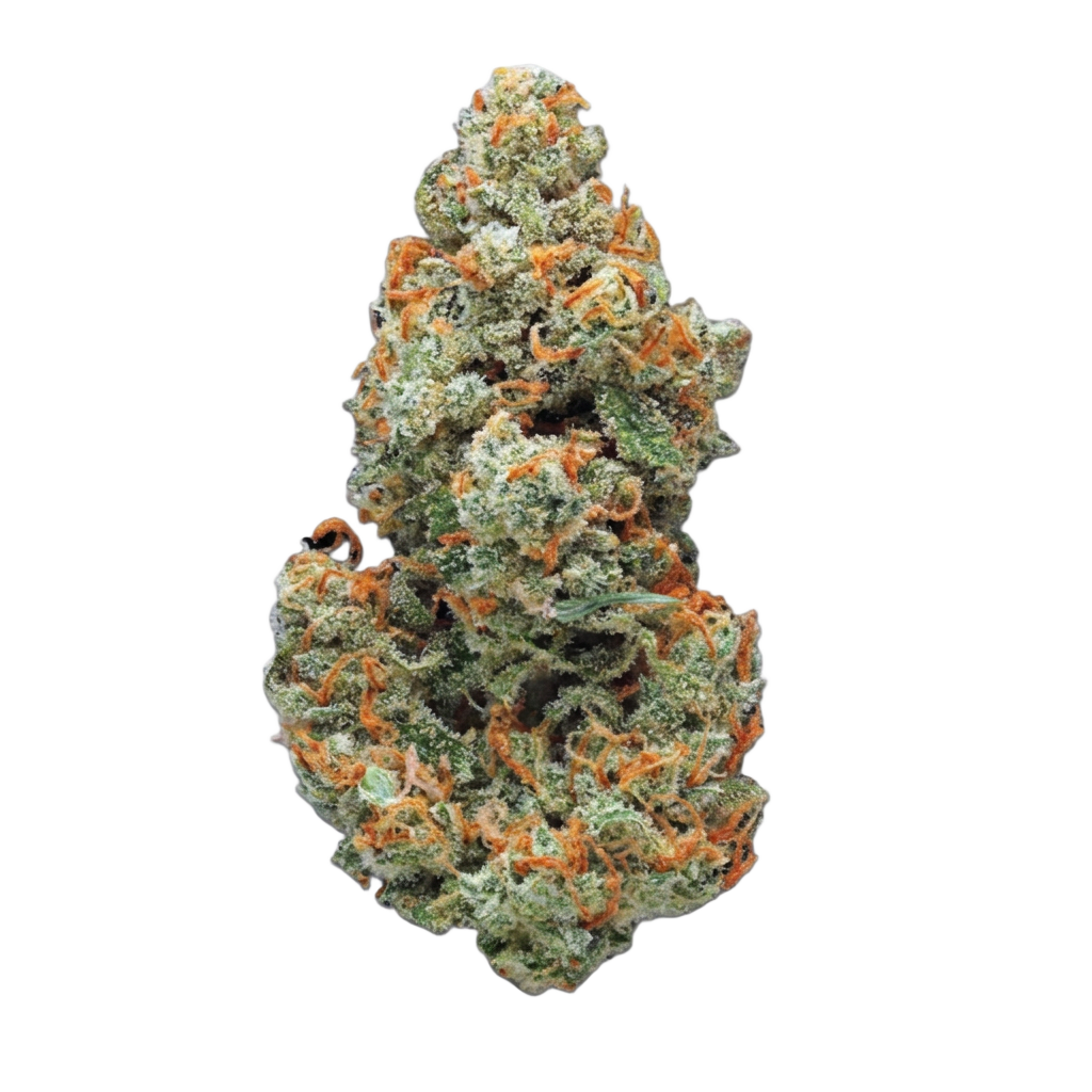 Jack Herrer