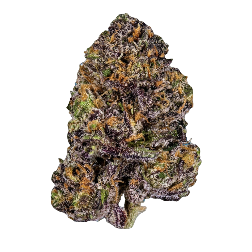 Blueberry Dream