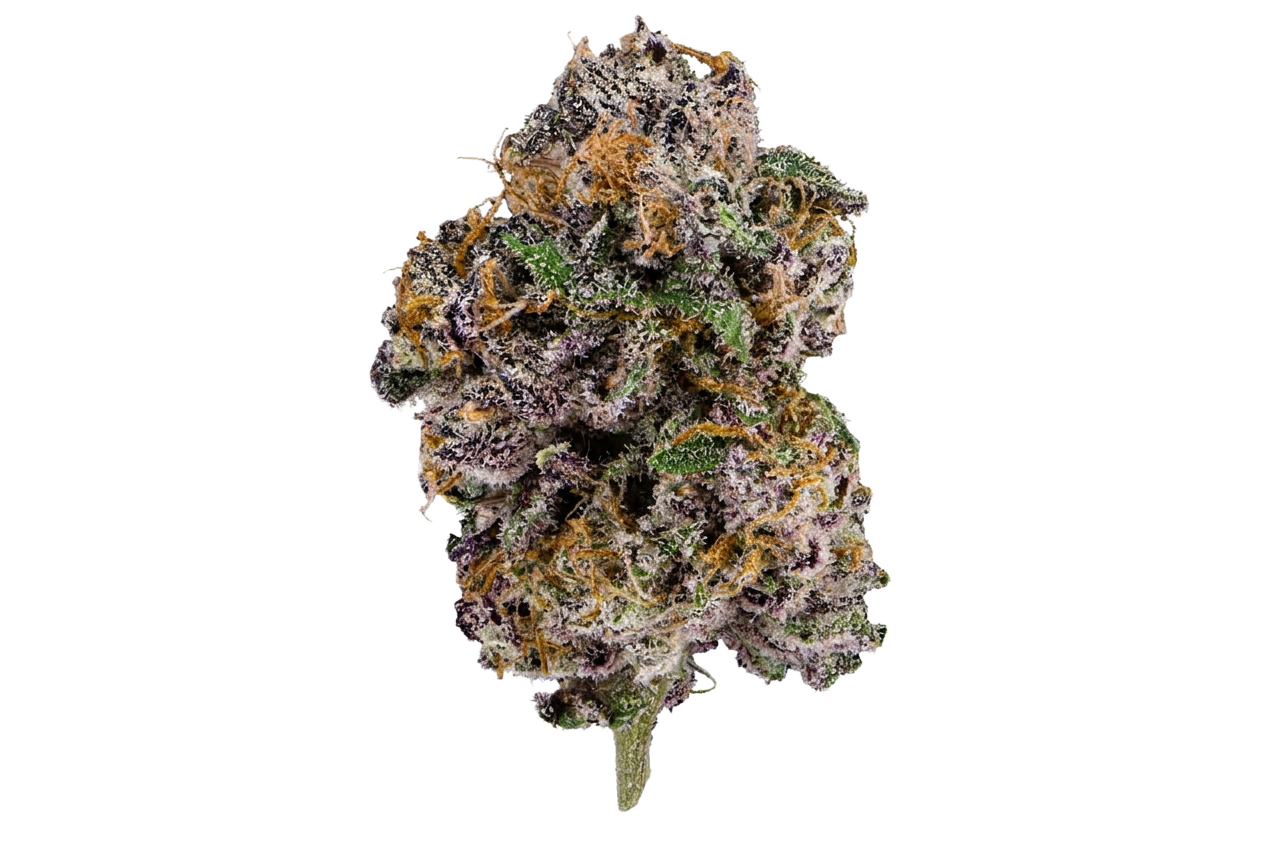 Blue Guava