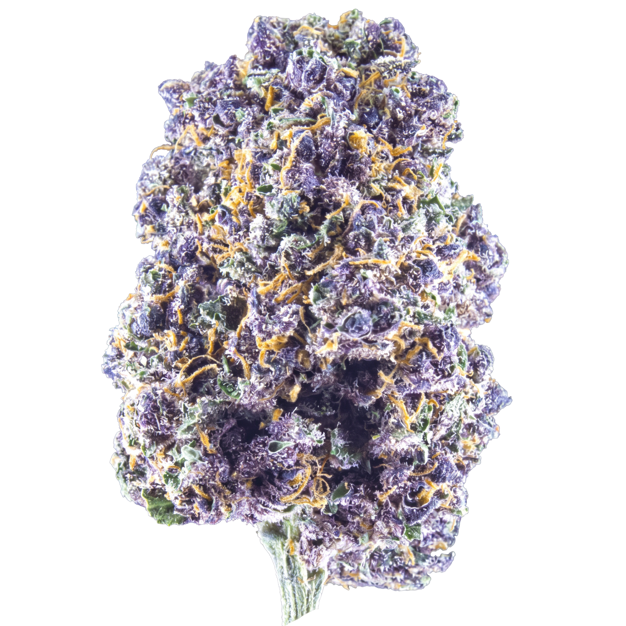 Purple Diesel