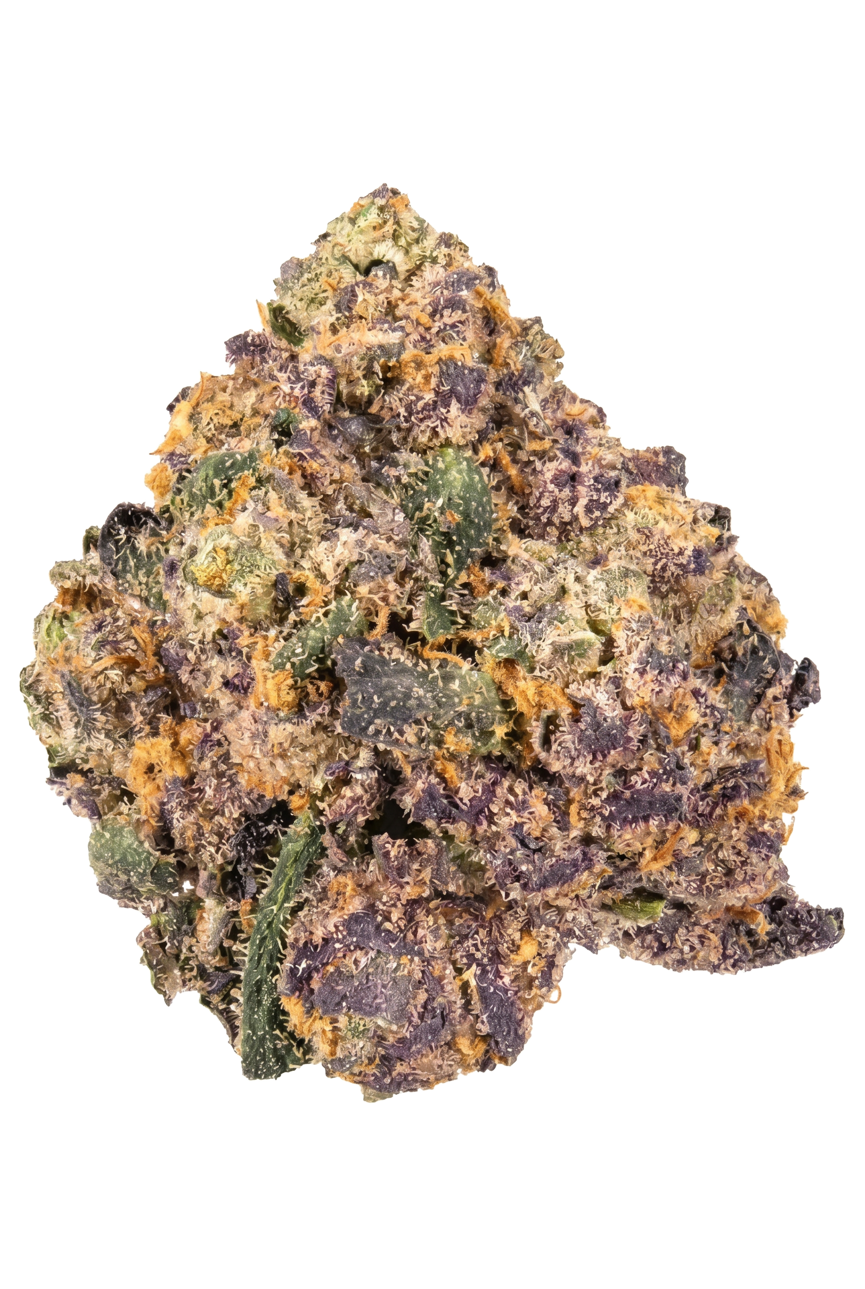 White Cherry Gelato